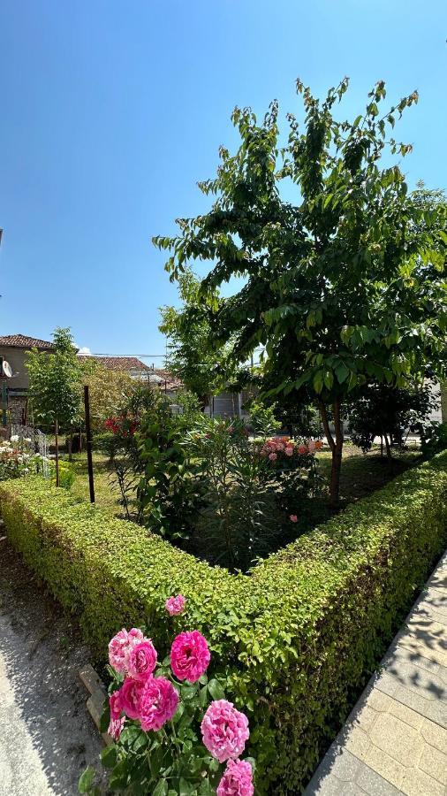Js House Shkoder 2 Appartement Buitenkant foto